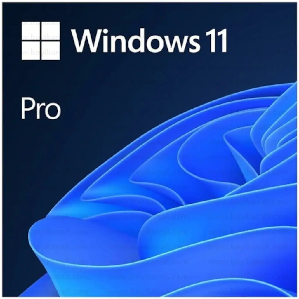 Windows 11 Pro Lisans